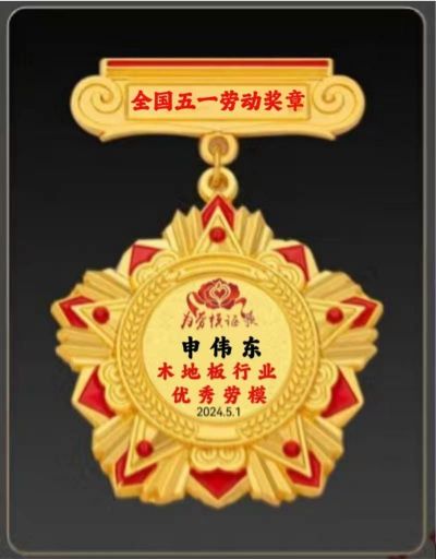 木地板優(yōu)秀行業(yè)優(yōu)秀勞?！陚|