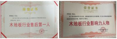 木地板優(yōu)秀行業(yè)優(yōu)秀勞?！陚|